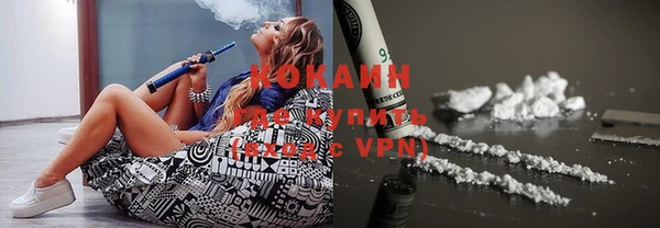 хмурый Алзамай