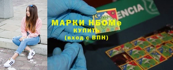 СК Алексин