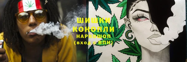 СК Алексин