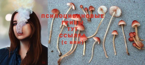 СК Алексин