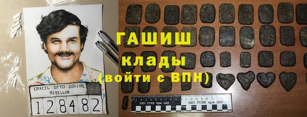 СК Алексин