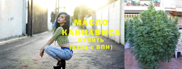 СК Алексин