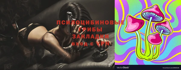 бошки Алексеевка