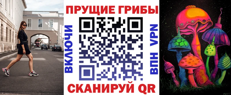 как найти   Топки  OMG зеркало  Галлюциногенные грибы мицелий 